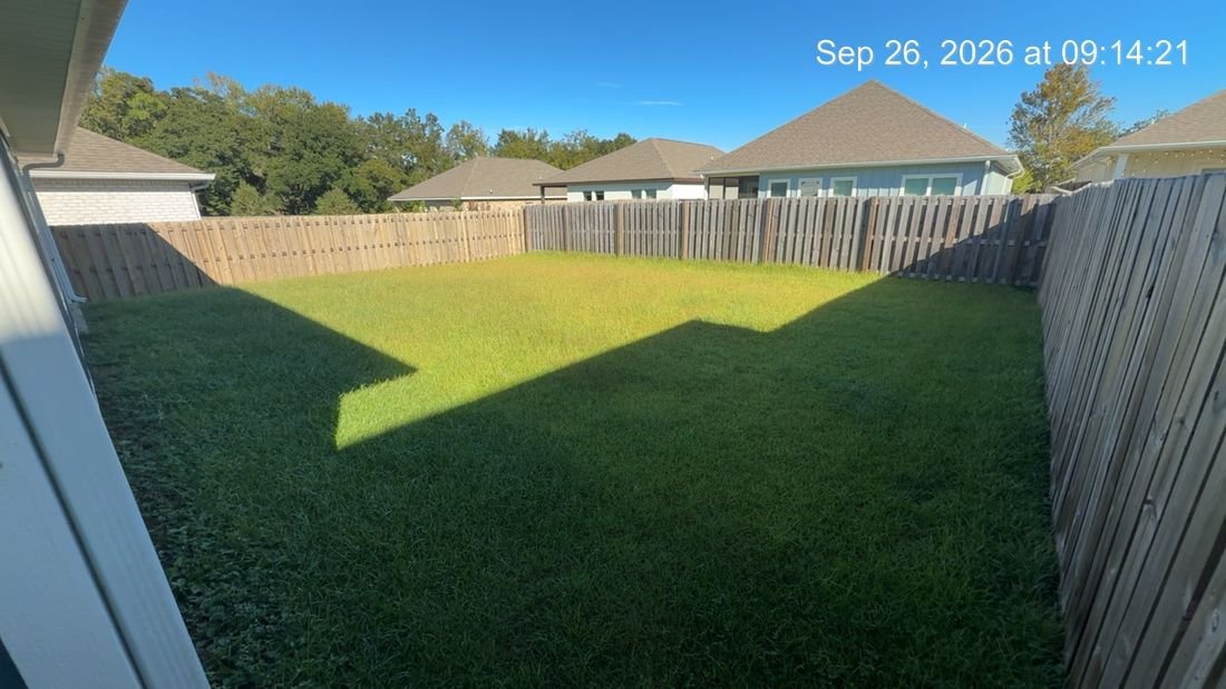 Fenced backyard before mowing